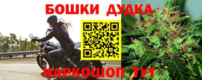 PSILOCYBIN Ирбит