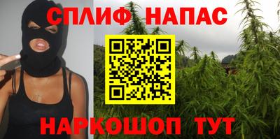 PSILOCYBIN Ирбит