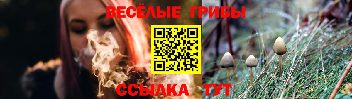 Галлюциногенные грибы GOLDEN TEACHER Людиново